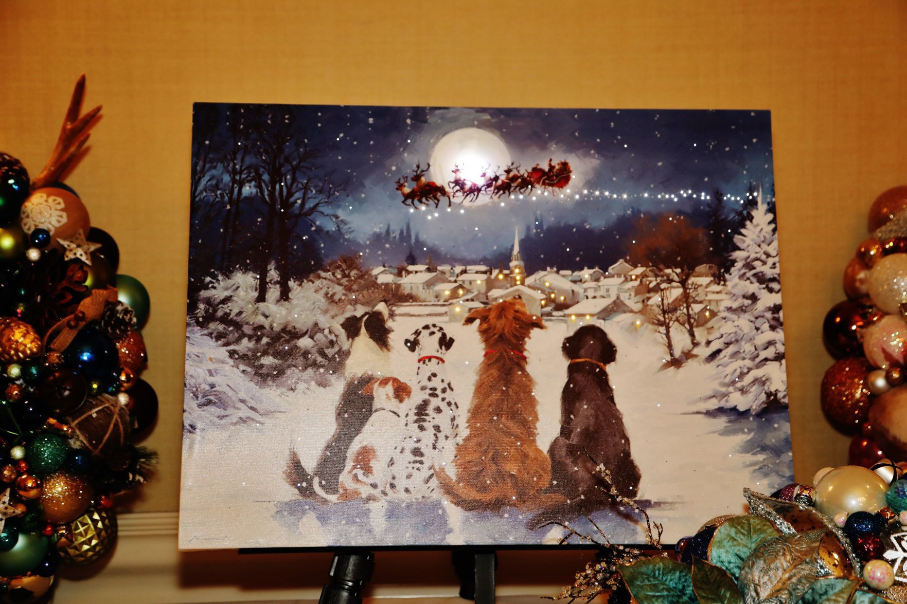 2018-Stray-Rescue-Gala-010.JPG
